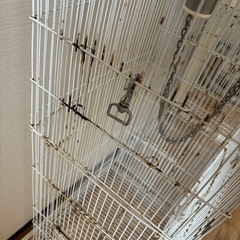 フクロモモンガケージの画像