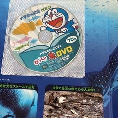 小学館の図鑑　NEOの画像