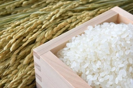 本日1袋限定‼️コシヒカリ30kg激安‼️