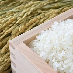本日1袋限定‼️コシヒカリ30kg激安‼️