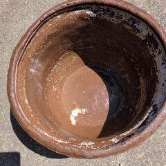 大きな鉢です。の画像