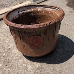 大きな鉢です。の画像