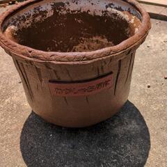 大きな鉢です。の画像