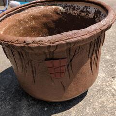 大きな鉢です。の画像
