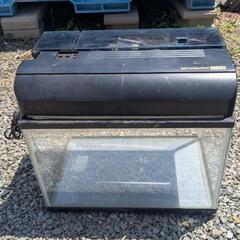 中古45cmガラス水槽セット