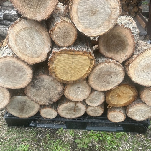 薪用ナラ玉切り材一立米