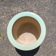 お話し中　火鉢だと思います。の画像