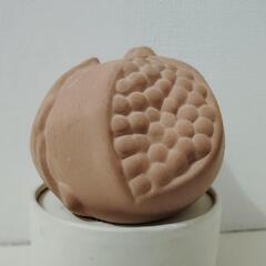 サンタマリア ノッヴェラ  ザクロ