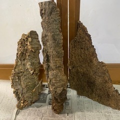 コルク