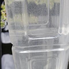ゾウリムシ 500ml  