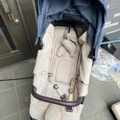 エアバギーココプレミア🌺の画像