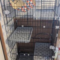 猫 ケージ キャットケージ ドア付き