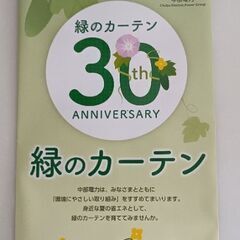ゴーヤ　オクラ　種