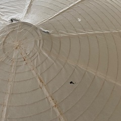 オーデリック 直径59cm 和紙 ペンダントライト ②の画像