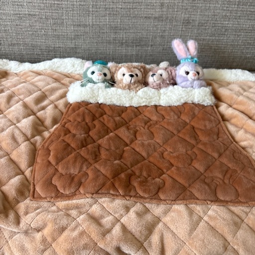 本日限定価格ブランケット