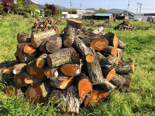 新しい到着 薪 NO63 最新梨の玉切り 引取り限定(福島市 軽トラ350Kg〜 その他