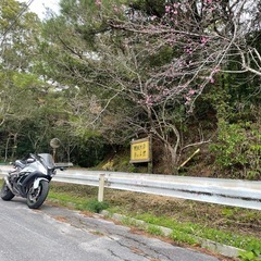 🏍️zx-10r🏍️
