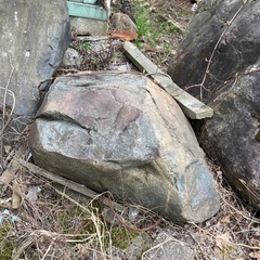 庭石の画像