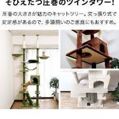 キャットタワーの画像