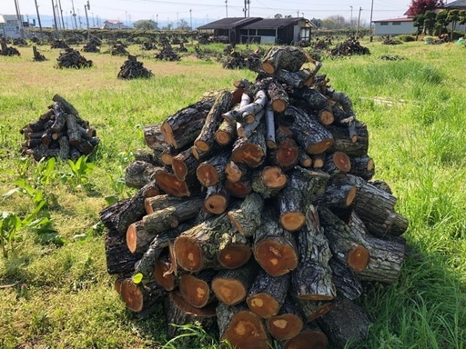 NO65 薪 最新 梨の玉切り 軽トラ350Kg〜 引取り限定(福島市