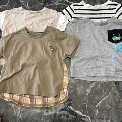 95センチ　恐竜のみ100センチ