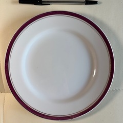 洋食器10枚ディナープレート（その2）