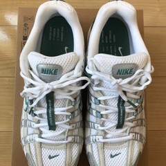 NIKE P-6000 PRM LIGHT BONE/WHITE-METALLIC SILVER 28.5cmの画像