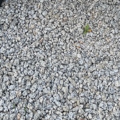 防犯砂利