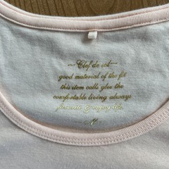 レディース　Tシャツの画像