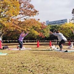 【茅ヶ崎】わんことヨガの画像