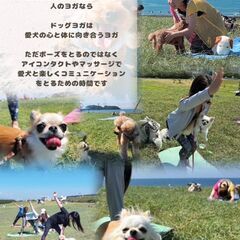 【茅ヶ崎】わんことヨガの画像
