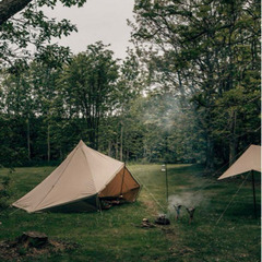 【お値下げ】サバティカル　モニグロTC マリポサMの画像