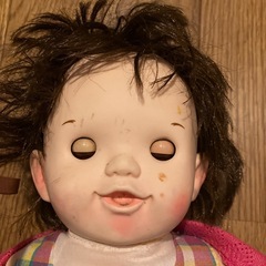 ぽぽちゃんの画像