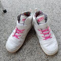 VANS22センチの画像