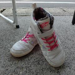 VANS22センチ