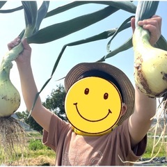 新玉ねぎ収穫体験(親子)