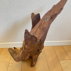 流木の画像