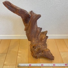流木の画像
