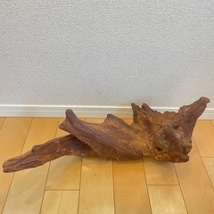 流木の画像
