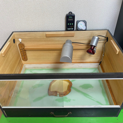 中古 45×45×80 カメレオン 爬虫類 飼育ケース メッシュケージ