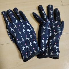 キッズ：乗馬練習用のムチとグローブの画像
