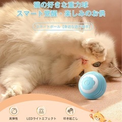 【動作確認済み】猫 おもちゃ 自動の画像