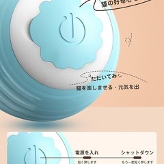 【動作確認済み】猫 おもちゃ 自動の画像