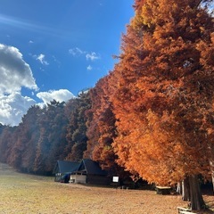 リーダーの僕が自腹プレゼント参加してスタンプ貯めてグッズが貰える歩き旅や低山登山ハイキング仲間募集 - 神戸市