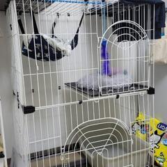 ケージ　2段　猫　受け渡し決定の画像