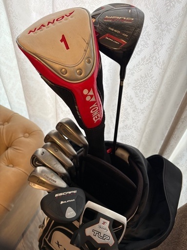 苫小牧バナナ】希少 額入り 阿含宗 総本山 聖菩提樹 金菩樹の葉 保管品