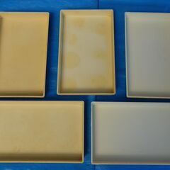 中古品 プラスチックトレー 変色あり
