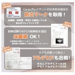 Caraz プレイマット　２枚セット　　の画像
