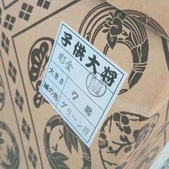 0427-234 【無料】 人形　子供大将の画像