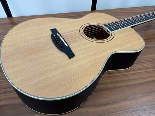 Soldin SFG-15 II NAS アコースティックギター ソルディン 【 洛